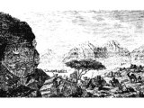 Wilderness of Zin, Inscribed rocks in Wady Mokatteb